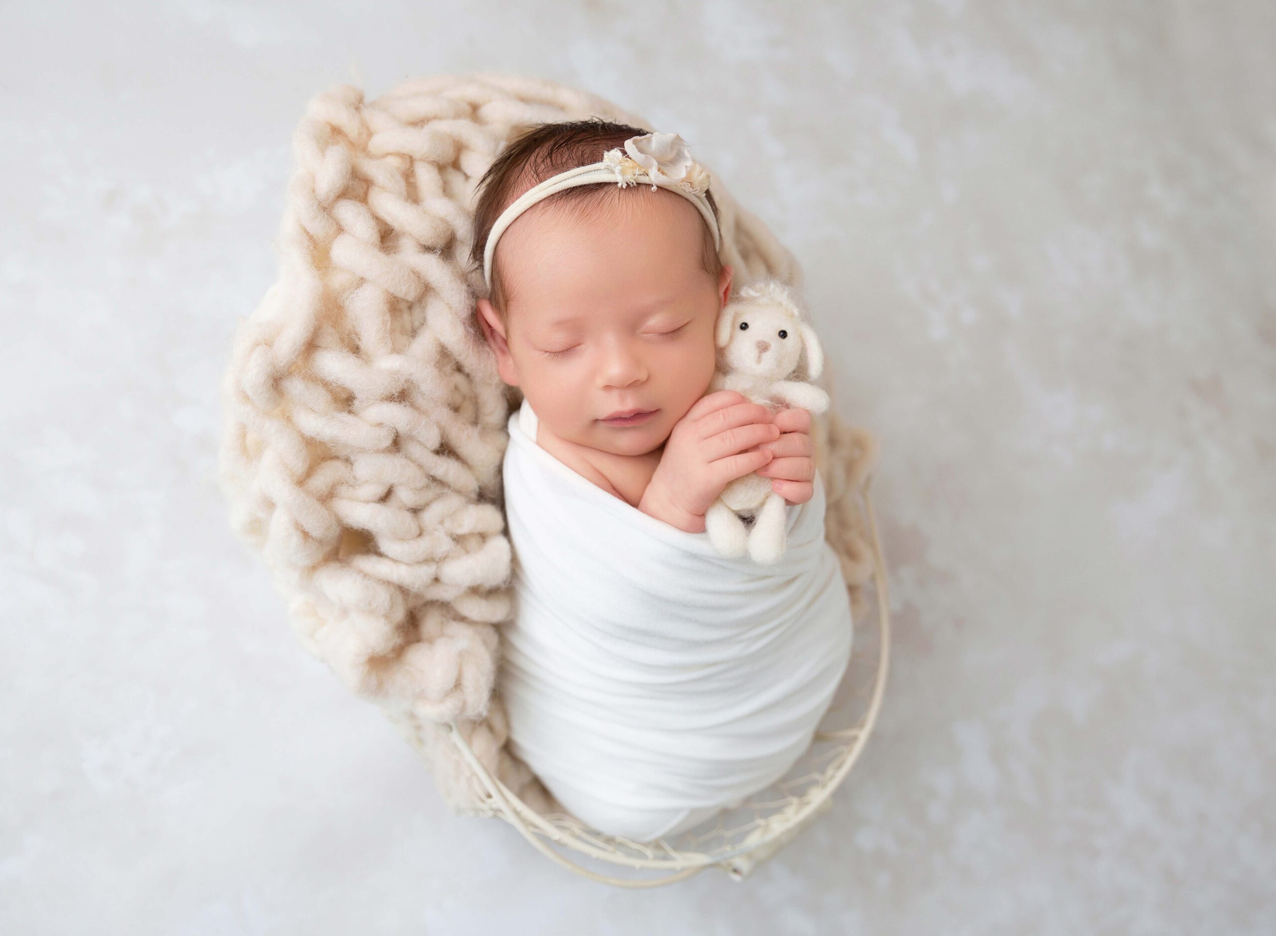 A sleeping newborn baby girl in a string bucket cuddles with a felt bear in a studio